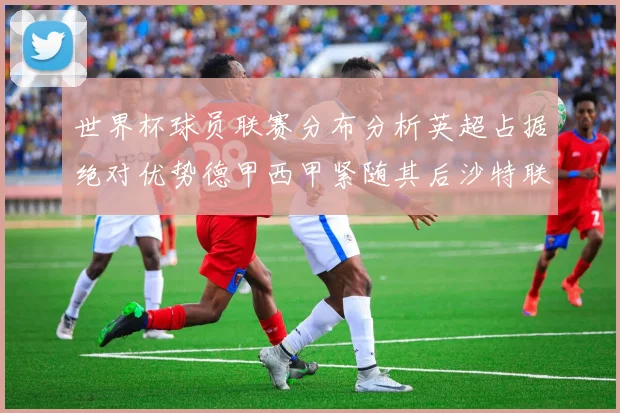 世界杯球员联赛分布分析英超占据绝对优势德甲西甲紧随其后沙特联排名第六