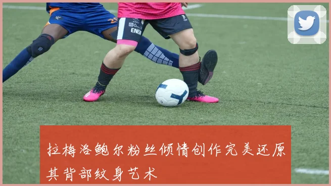拉梅洛鲍尔粉丝倾情创作完美还原其背部纹身艺术
