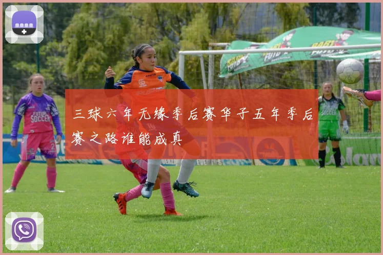三球六年无缘季后赛华子五年季后赛之路谁能成真